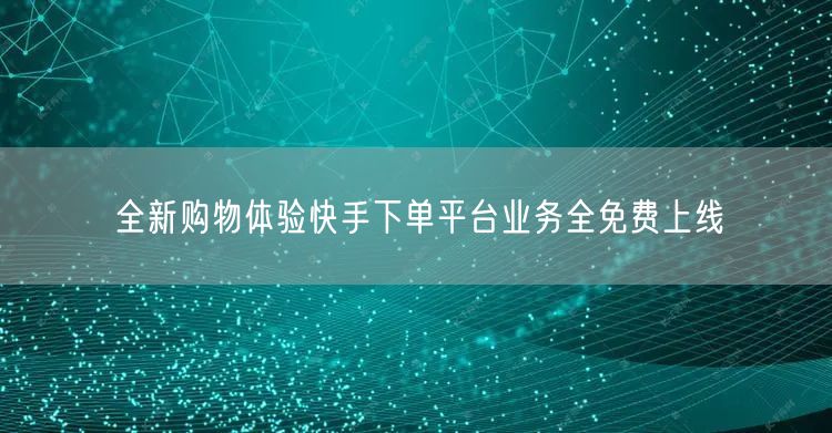 全新购物体验快手下单平台业务全免费上线