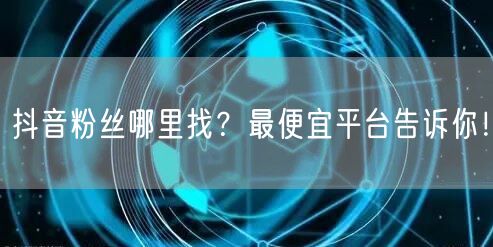 抖音粉丝哪里找？最便宜平台告诉你！